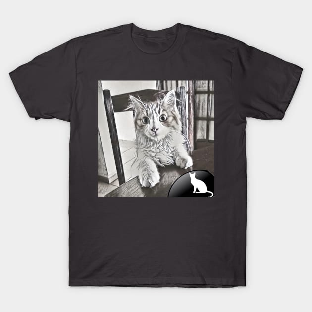 CAT PICTURE T-Shirt by CATUNIVERSE